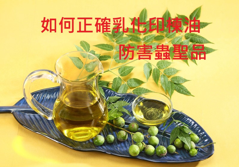 印楝油-真的是防害蟲聖品嗎?如何正確乳化印楝油製作防害蟲噴霧 - 天台有木有
